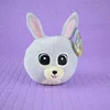 Mini rabbit