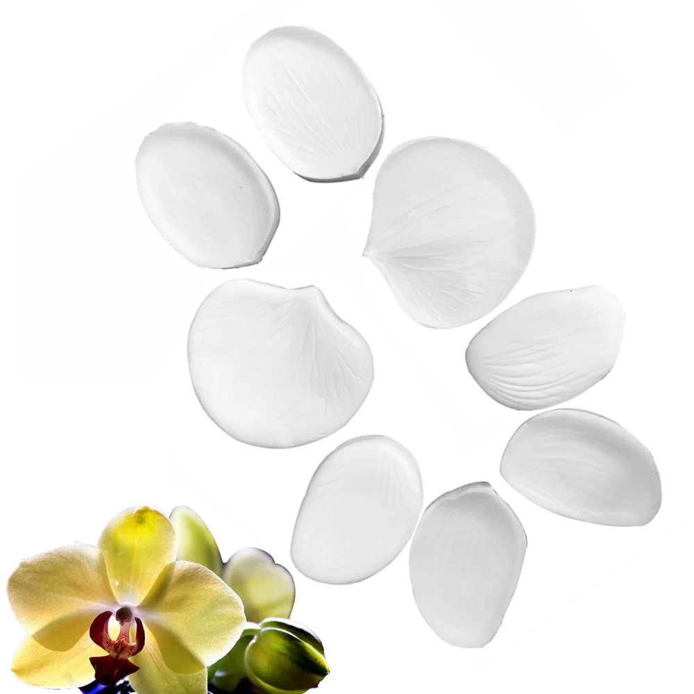 fullsizerender 19_副本