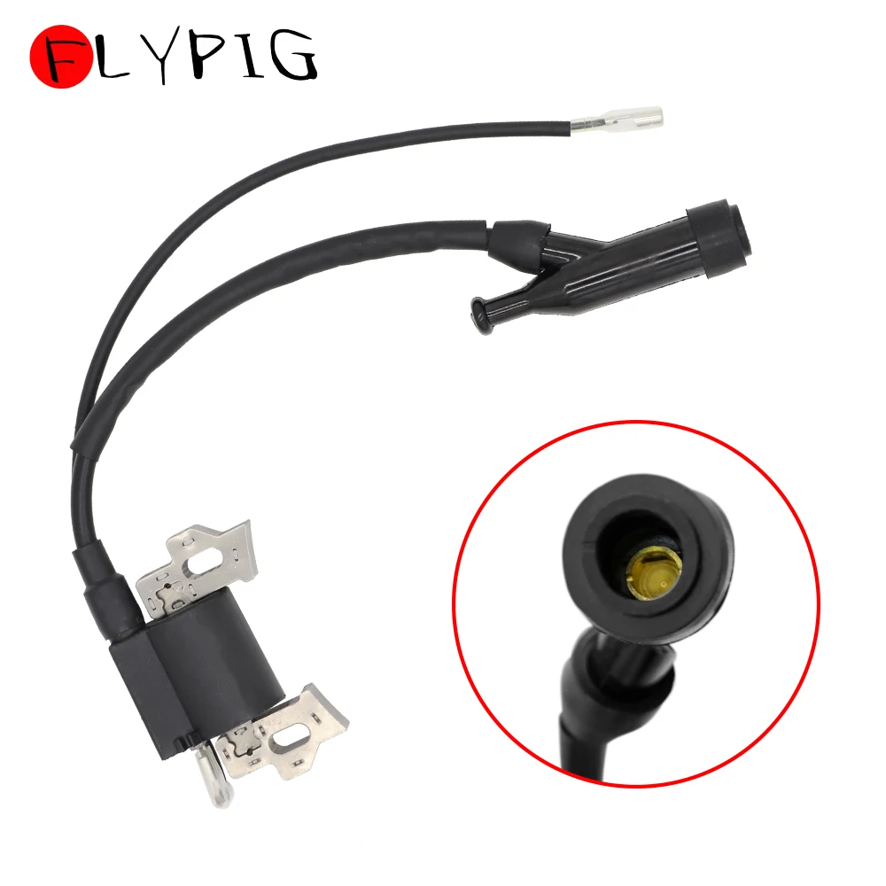 BTC-IC001-19.11.11-feizhu