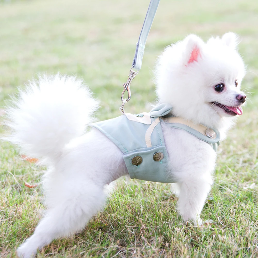 What Is The Best Harness For A Pomeranian