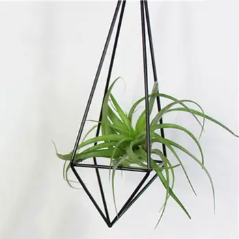 

Hanging Air Plant Holder Modern Geometric Planter With Chain Tillandsia Container Himmeli Wall Decor