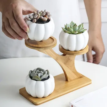 

3 Tier Indoor Home Planter With Drainage Modern Mini Pumpkin Succulent Pots Garden Desk Decoration Office Bamboo Stand Set