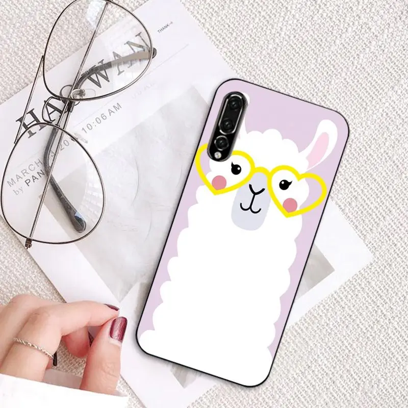 Cartoon Lama Llama Alpacas Animal