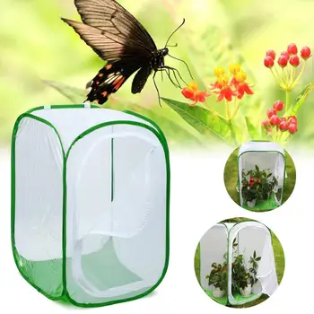 

Large Size Insect and Butterfly Habitat Cage Terrarium