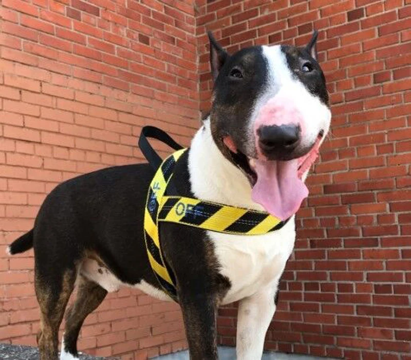 QQ图片20200723154555