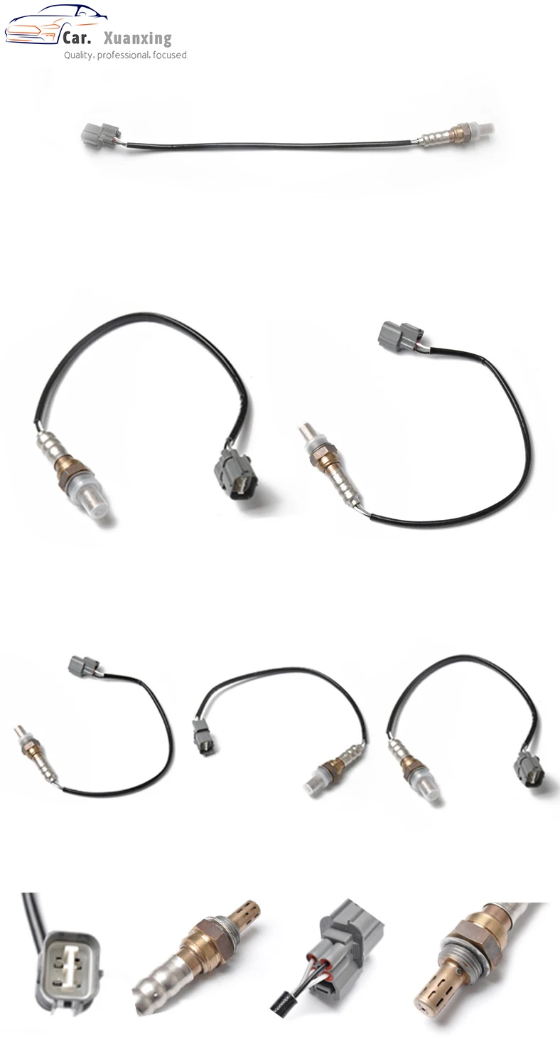 5087756954_1651743979