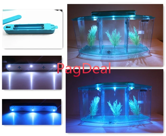 betta box02