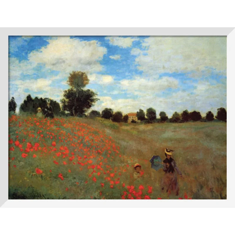 5D pintura de diamantes Сделай Сам el campo de amapola mosaico de diamantes Monet bordado en diamante paisajatistico punto de cruz decora