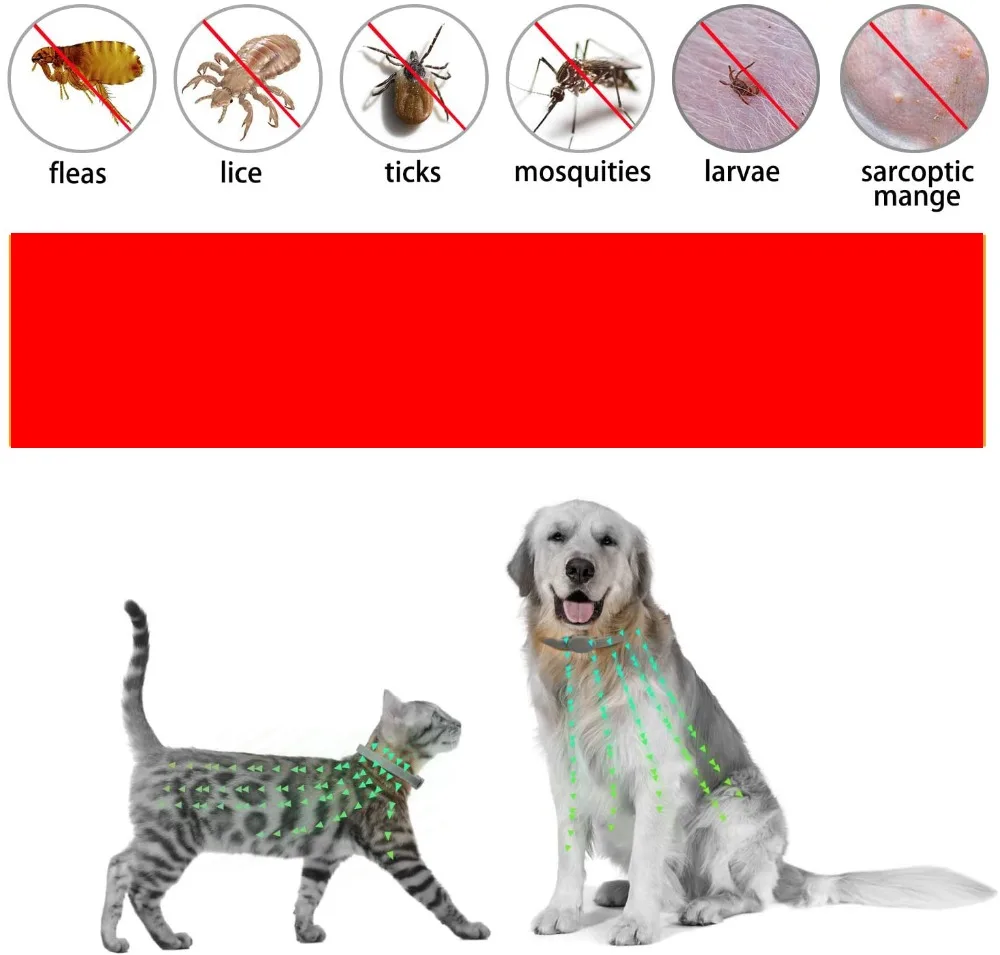 71rPd2Riz+L._AC_SL1500_