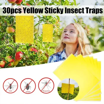 

30pcs Strong Flies Traps Bugs Sticky Board Catching Aphid Insects Killer Pest Control Whitefly Thrip Leafminer Glue Sticker #10
