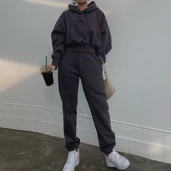 Conjunto de 2 piezas formado por Sudadera con capucha para mujer, chándal informal liso, ropa deportiva para el hogar, invierno y primavera