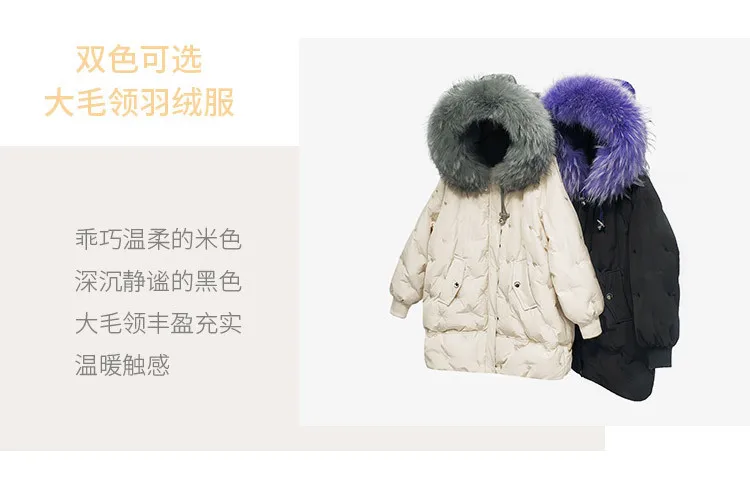 Down jacket of new female fashion long white duck down Han Guodong door han edition show thin coat in winter