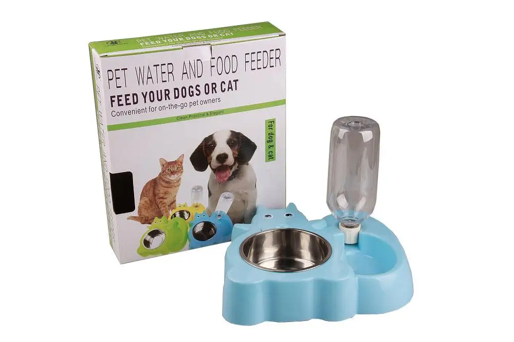 Squirrel frog cartoon dog drinking bowl (30)