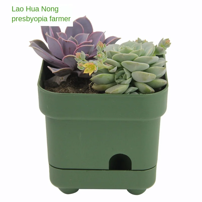 

green Square Plastic Plant Flower Pot Planters For Succulents Flowerpots Garden Unbreakable Nursery Pots for