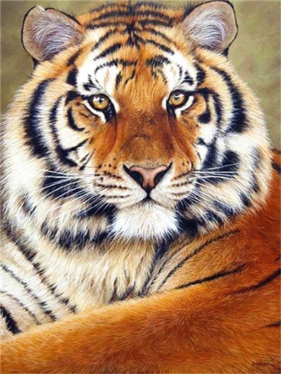 Huacan алмазная вышивка полная выкладка распродажа тигр картина стразами алмазная мазайка животные картины декор для дома - Цвет: 370