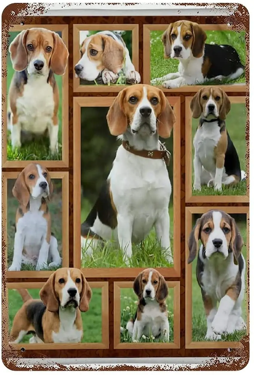 Rustic Beautiful Beagle Dog Flower Painting Vintage Tin Sign Country Home Decor for Living Room Kitchen Bathroom | Дом и сад