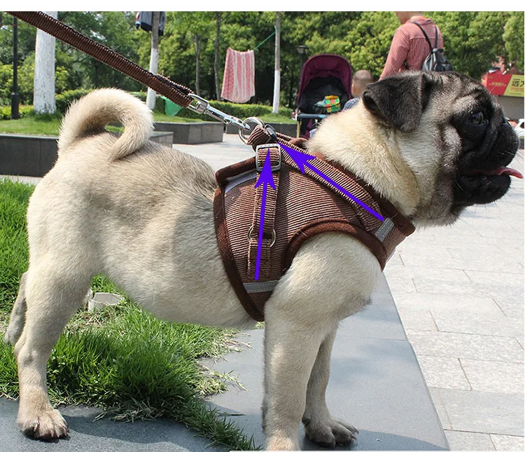 11175452347_609020808