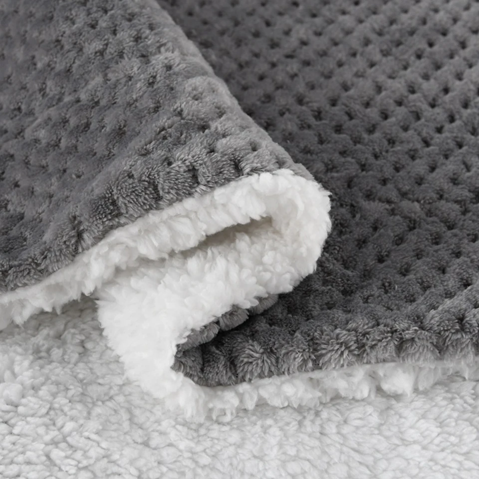 11348120291_1805383331