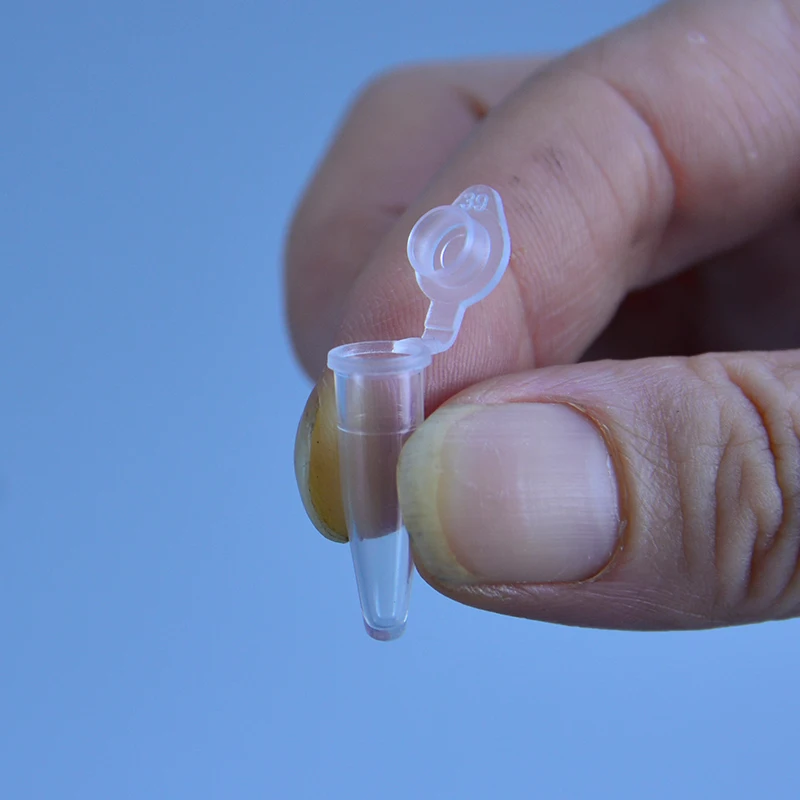 Plastic Test Tubes Centrifuge Tube Micro 0.2 Ml Centrifuge Tube 50pcs Test Tubes Transparent Plastic Tube Container Science Laboratory Test Accessories Lid