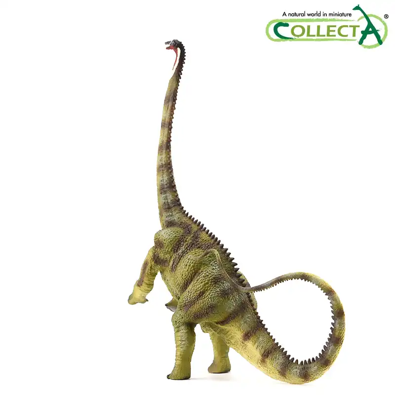 diplodocus collecta