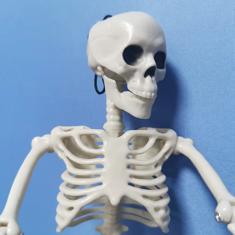 97273D05886E91A0F9C0008EEAA1FC79