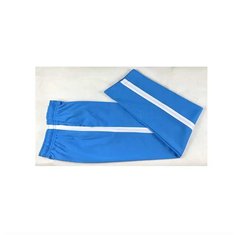 Летние мужские повседневные спортивные штаны для мужчин, спортивные штаны, спортивные штаны в полоску, тонкие дышащие спортивные штаны небесно-голубого цвета - Цвет: 3