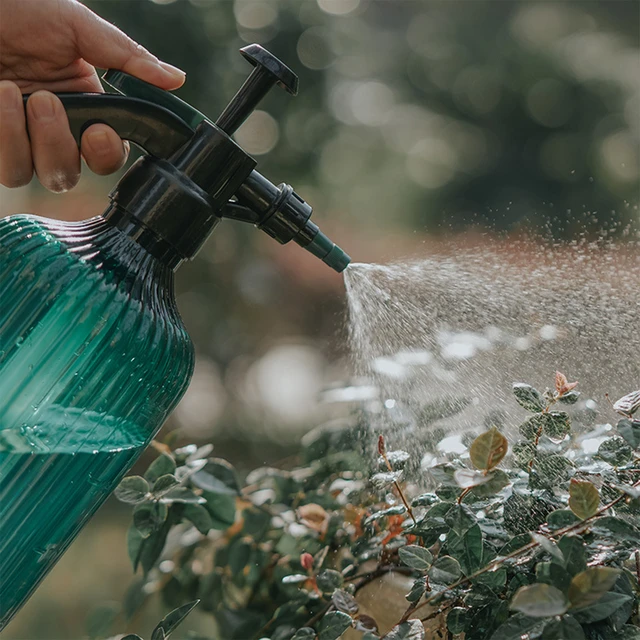 Maceta de riego para plantas y flores, pulverizador de botella con  pulverizador, hervidor de suculentas para jardín, suministros de  herramientas pequeñas de jardín - AliExpress