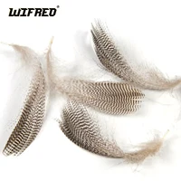 Natural Barred Mallard Duck Flank Feathers 50PCS/Bag 1
