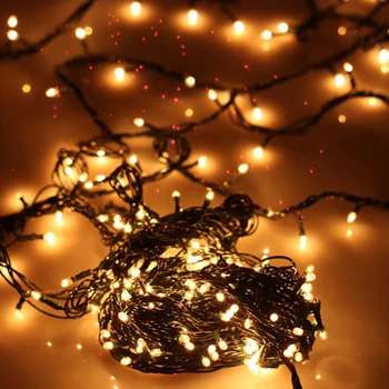 

4M 100leds Christmas Decoration Lamps Copper Wire Fairy String Lights EU Plug Ball DC