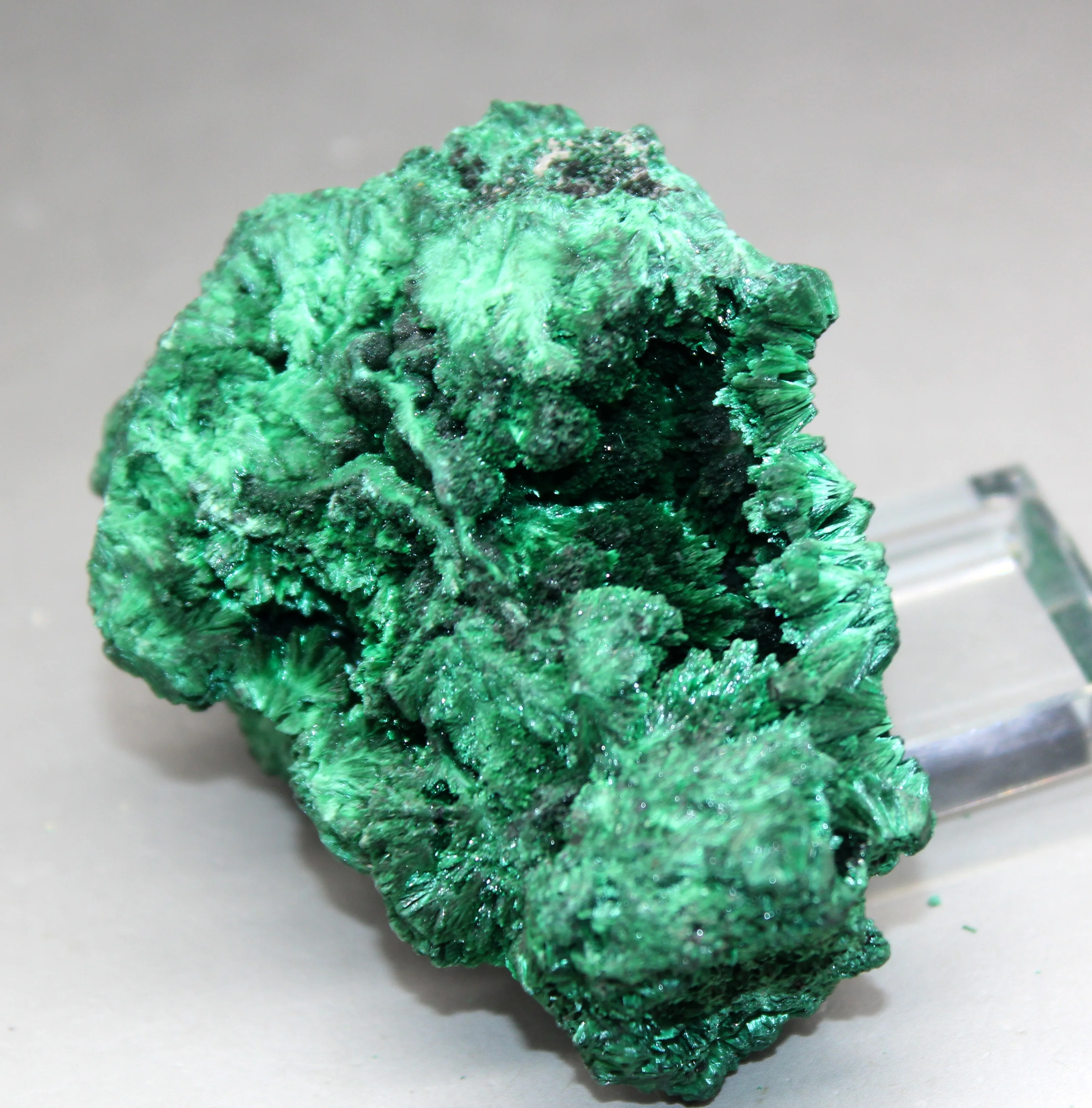 

148g Natural rare acicular malachite mineral specimen green stone crystal teaching specimen collection