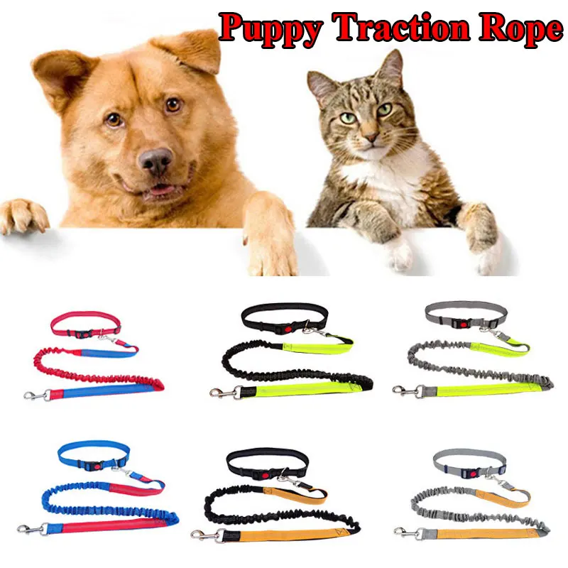 2021 New Reflective Leash Traction Rope Pet Dog Running Belt Elastic Hands Freely Jogging Pull Metal D-ring Leashes | Дом и сад
