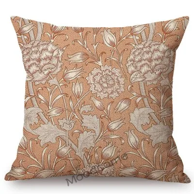 conew_t524 (36) 副本