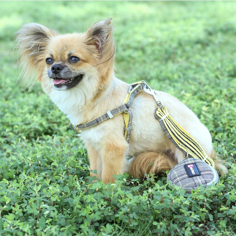 Регулируемый нейлоновый собачий ошейник Chihuahua для маленьких и средних