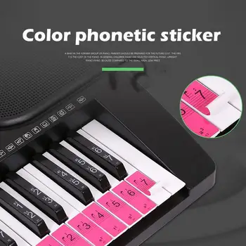 

Music Sticker Instrumental Piano Education Tool Study Colorful Paper Professional Practical Musical Symbol Sticker Art