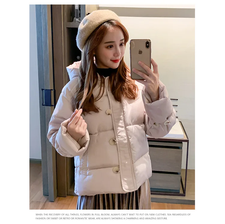 Женская одежда с хлопковой подкладкой,, корейский стиль, BF AliExpress, женское платье, Европа и Америка, хлопковое пальто, женская куртка
