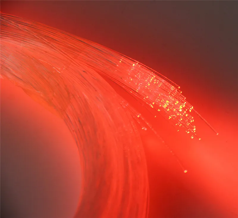 HTB1k4glQVXXXXXSXVXXq6xXFXXXu