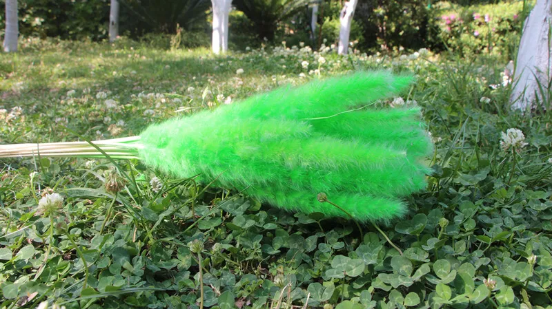 15Pcs Dried Reed Flower Arrangement Natural Pampas Grass For  Modern Home Decoration Party Backdrops Wedding Supplies