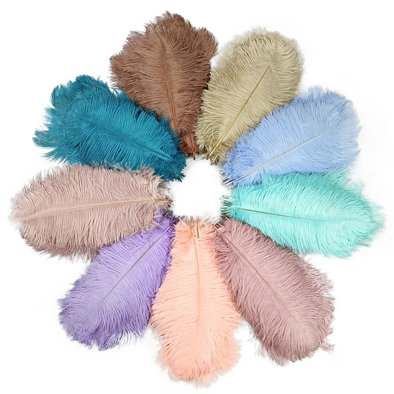 Wholesale 10Pcs/Lot New Colorful Ostrich Feathers White Black Feather Decor Plumes Vases Party Wedding Accessories Decoration