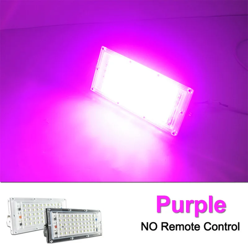 = K) = 2 шт. Светодиодный прожектор светильник 50 Вт 100 Вт пульт дистанционного прожектор светильник 220V Светодиодный точечный светильник IP65 Водонепроницаемый отражатель светильник светодиодный открытый RGB светодиодные лампы - Испускаемый цвет: Purple