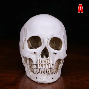 

Hot Simulation Skull Head Resin Replica Prop Ornament for Halloween Decoration PLD