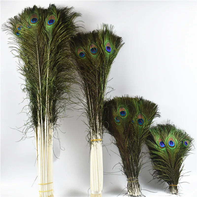 ALL in ONE 20pcs Natural Peacock Tail Feather 