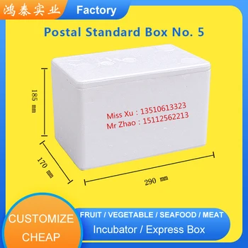 

Small Big Grape Fruit styrofoam box maker
