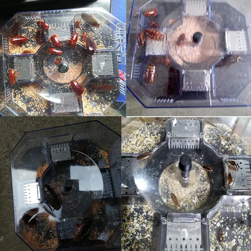

Hot Sale 10 Pcs Cockroach Killing Bait Pest Control Powerful Cockroach Killing Bait Kitchen Household Using