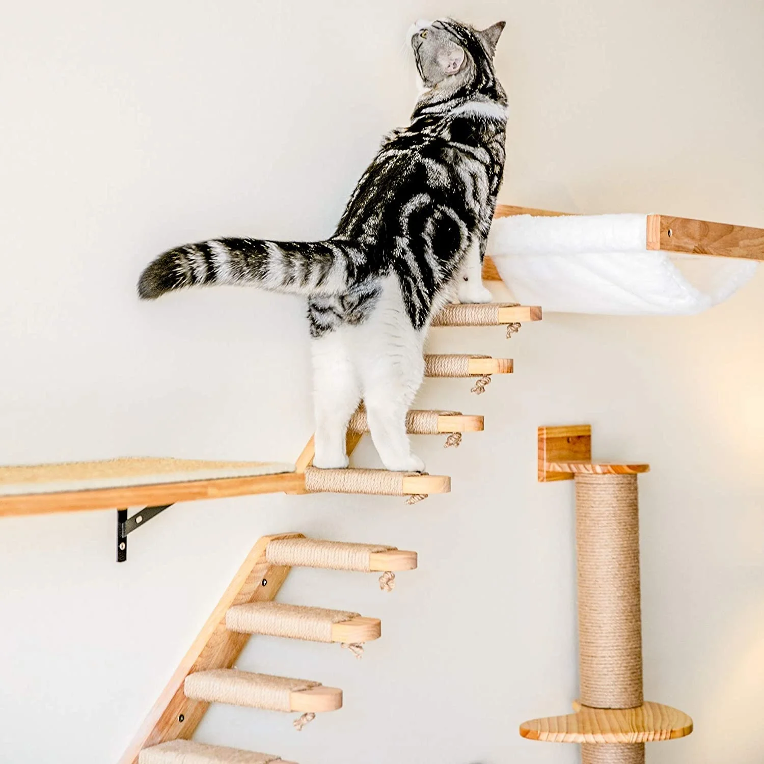 Mur d'escalade pour Chat, Étagère Murale pour Chat, Perche, Arbre à Chat  lit hamac et griffoir, Poteaux à griffer, Meuble Mural pour Dormir, Jouer