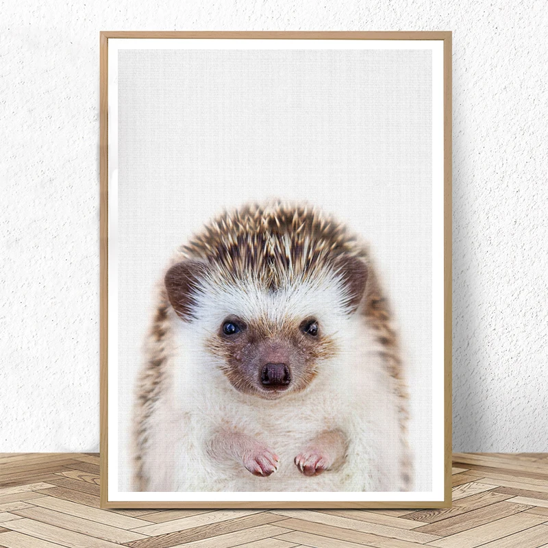 Baby Hedgehog Print