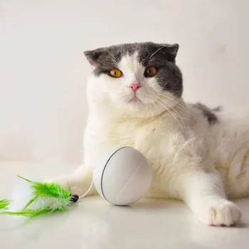 

Best Selling Pink LED Rolling Flash USB Electric Pet Toy Ball Squeaky Dog Training Puzzle Toys Pets Cats Teeth Cleaning Tool