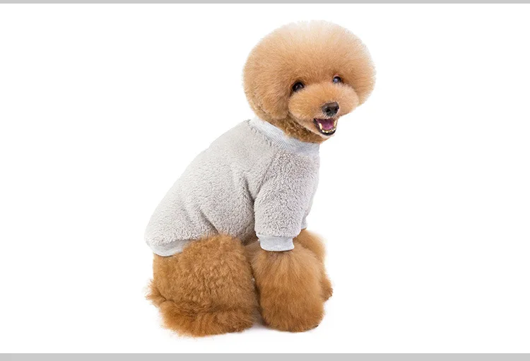 gray dog clothes