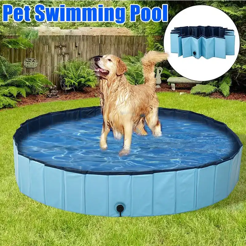 indoor dog pool