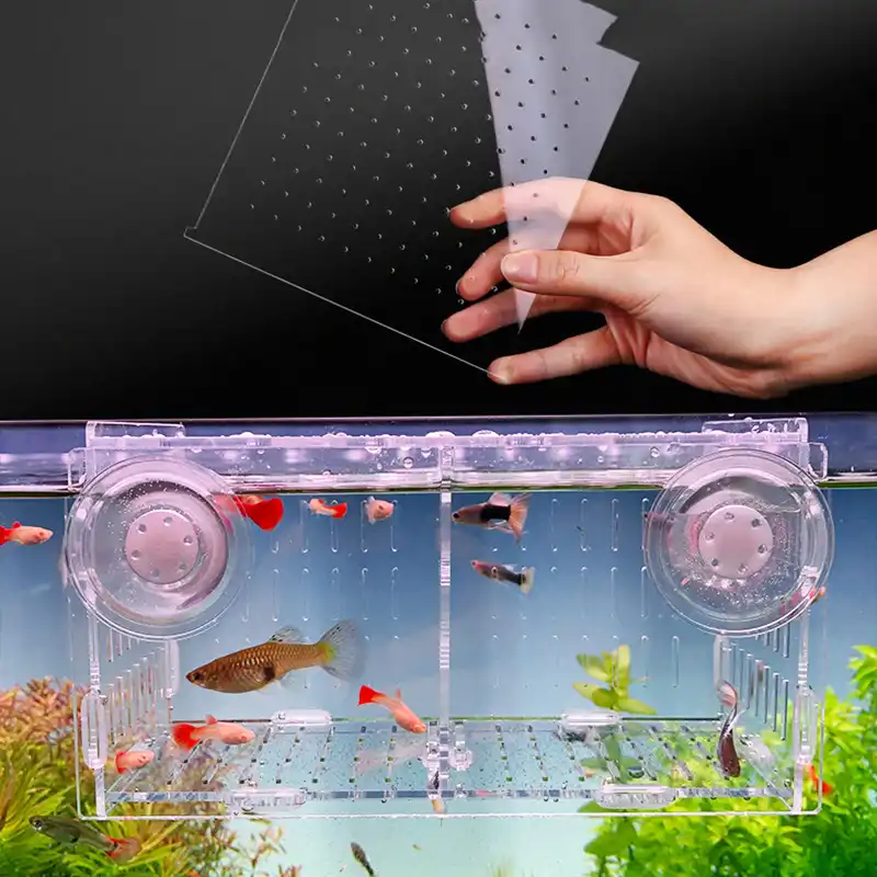 最適な価格 アクアリウムの水槽の隔離ボックスアクリルグッピーの隔離ボ L10 X W10 X H10 Cm Strip Hole Sucker オンラインストア限定 Asadtv Com