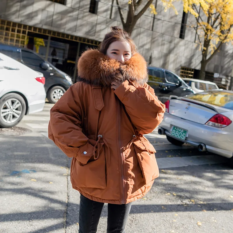 

Winter Short Waist Hugging down Feather Cotton-padded Clothes WOMEN'S Coat South Korea BF Style Large Fur Collar Workwear down C